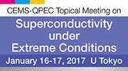 CEMS Topical Meeting